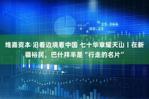 维嘉资本 沿着边境看中国 七十华章耀天山丨在新疆裕民，巴什拜羊是“行走的名片”