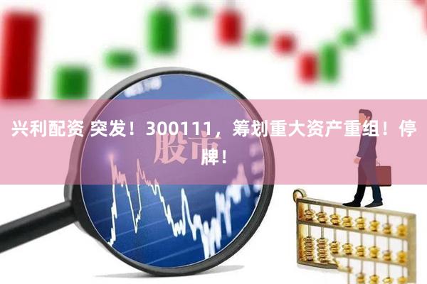 兴利配资 突发！300111，筹划重大资产重组！停牌！