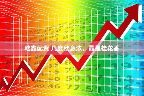 乾鑫配资 几度秋意浓，最是桂花香